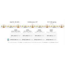 American Lighting SPTL65-WW-13 - American Lighting SPTL65-WW-13