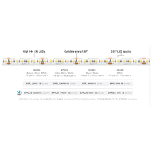 American Lighting SPTL-WH-13 - American Lighting SPTL-WH-13