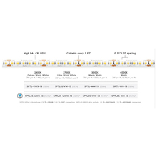 American Lighting SPTL-WW-13 - American Lighting SPTL-WW-13