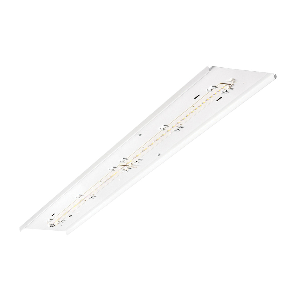 Atlas Lighting Products ILWRK30LED4D