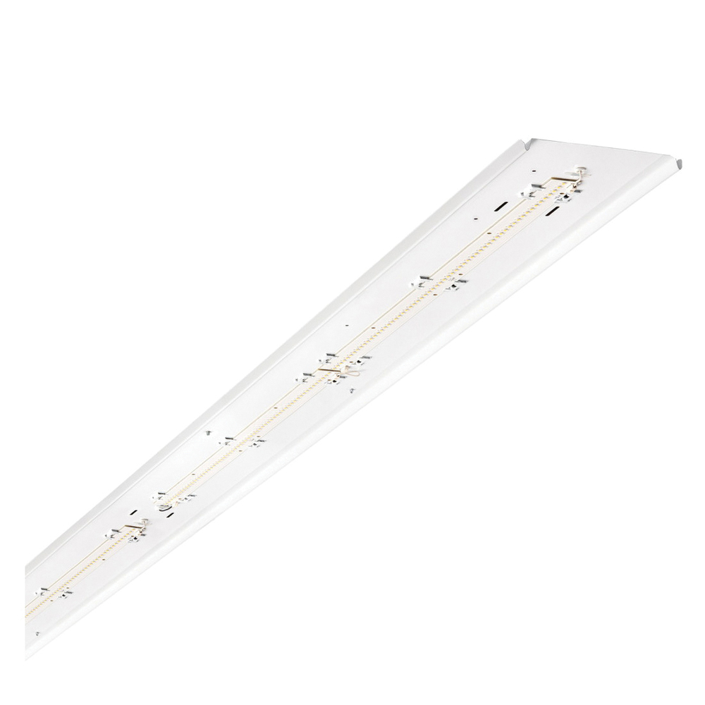 Atlas Lighting Products ILWRK98LED8D