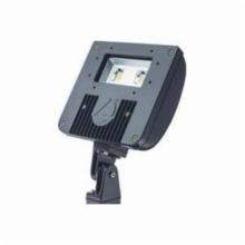 Acuity Brands DSXF1-LED-1 - Acuity Brands DSXF1LED1