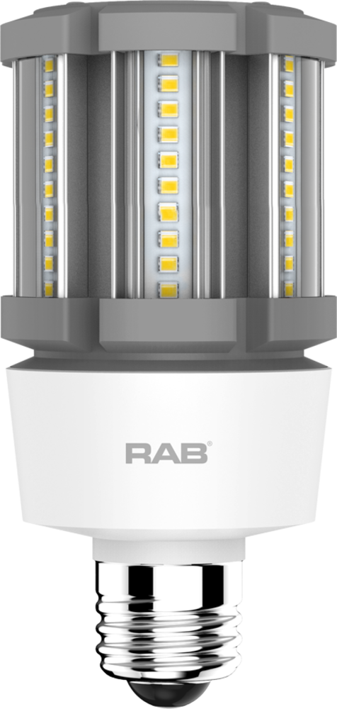 RAB Lighting HID-12-E26-840-BYP-PT