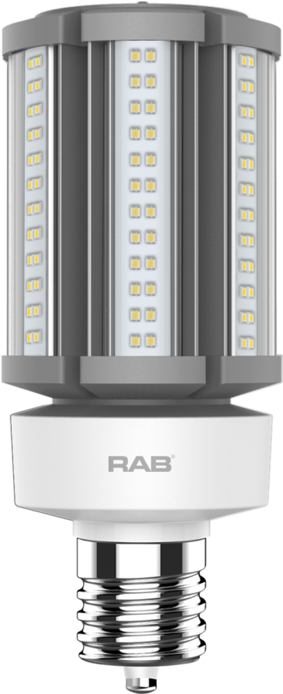 RAB Lighting BLED2X5DC-42