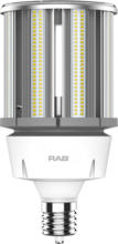 RAB Lighting HID-100-EX39-830-BYP-PT - RAB Lighting HID-100-EX39-830-BYP-PT