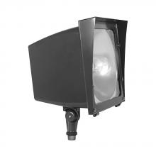 RAB Lighting EZHH150QT/PC - RAB Lighting EZHH150QTPC