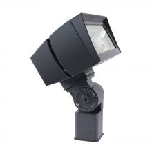 RAB Lighting FFLED39SFY/PC - RAB Lighting FFLED39SFYPC