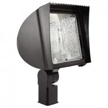 RAB Lighting FX100SFQT - RAB Lighting FX100SFQT