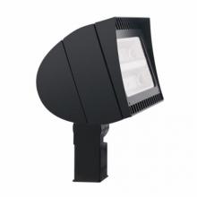 RAB Lighting FXLED105SF/PCS - RAB Lighting FXLED105SFPCS