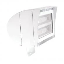 RAB Lighting FXLED105TW - RAB Lighting FXLED105TW