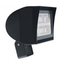 RAB Lighting FXLED105T/PCT - RAB Lighting FXLED105TPCT