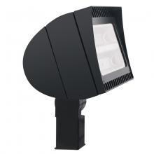 RAB Lighting FXLED125SF/480 - RAB Lighting FXLED125SF480