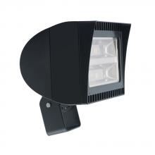 RAB Lighting FXLED125TY - RAB Lighting FXLED125TY