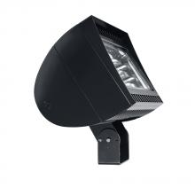 RAB Lighting FXLED300TD10 - RAB Lighting FXLED300TD10