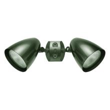 RAB Lighting HB2VG - RAB Lighting HB2VG