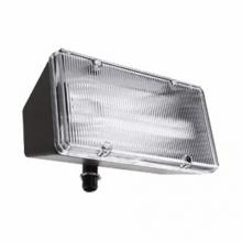 RAB Lighting PLF26 - RAB Lighting PLF26