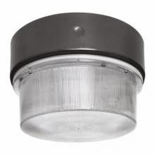 RAB Lighting VAN15HH100QT - RAB Lighting VAN15HH100QT