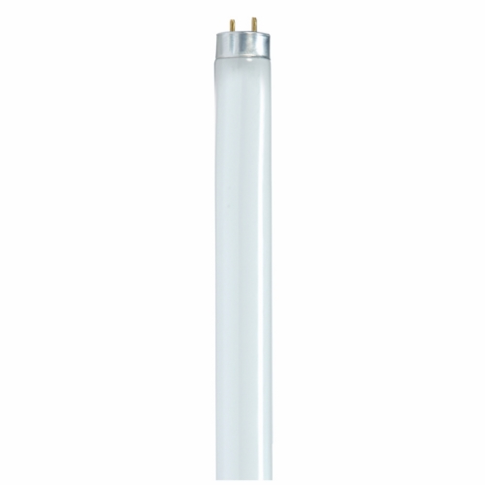 SATCO Lighting S8436