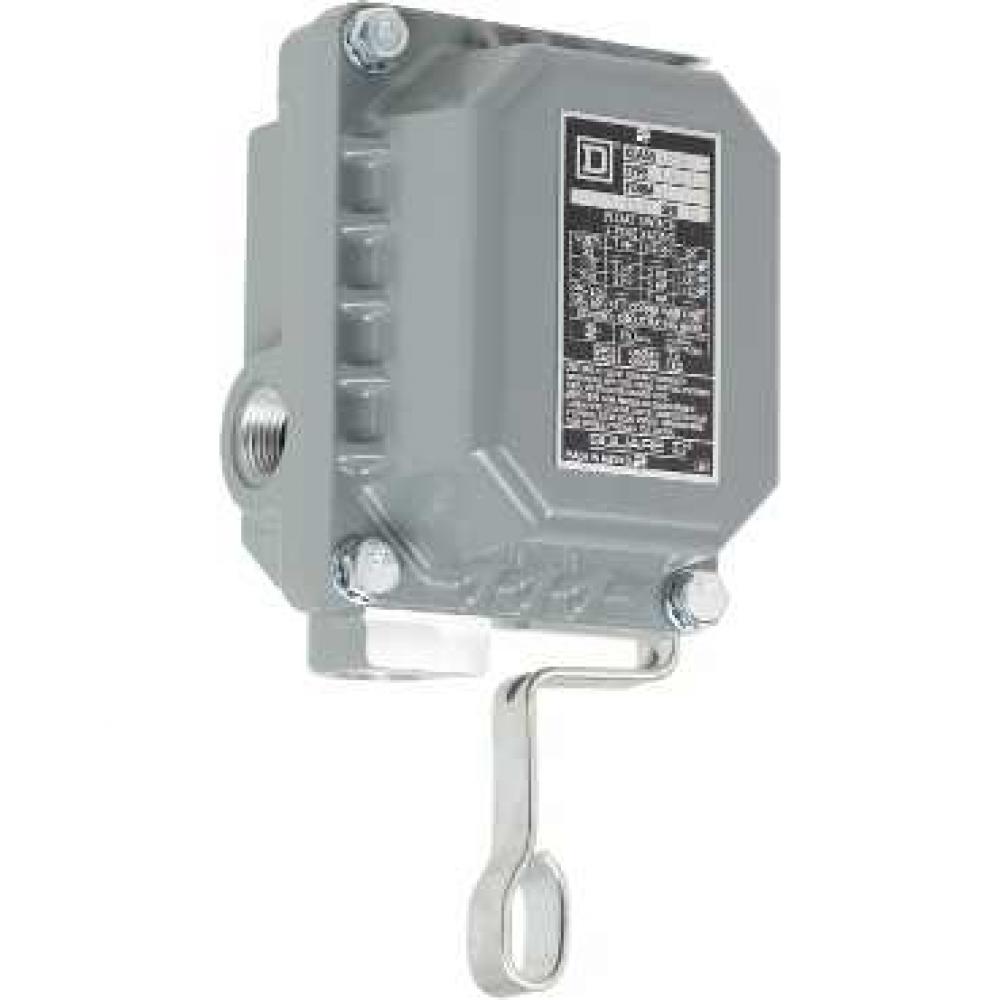 Schneider Electric 9036DR31C