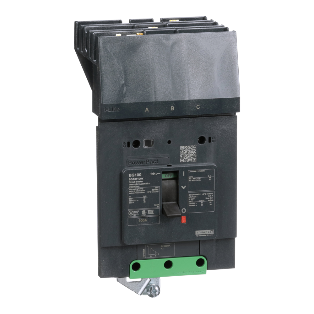 Schneider Electric BGA34100Y