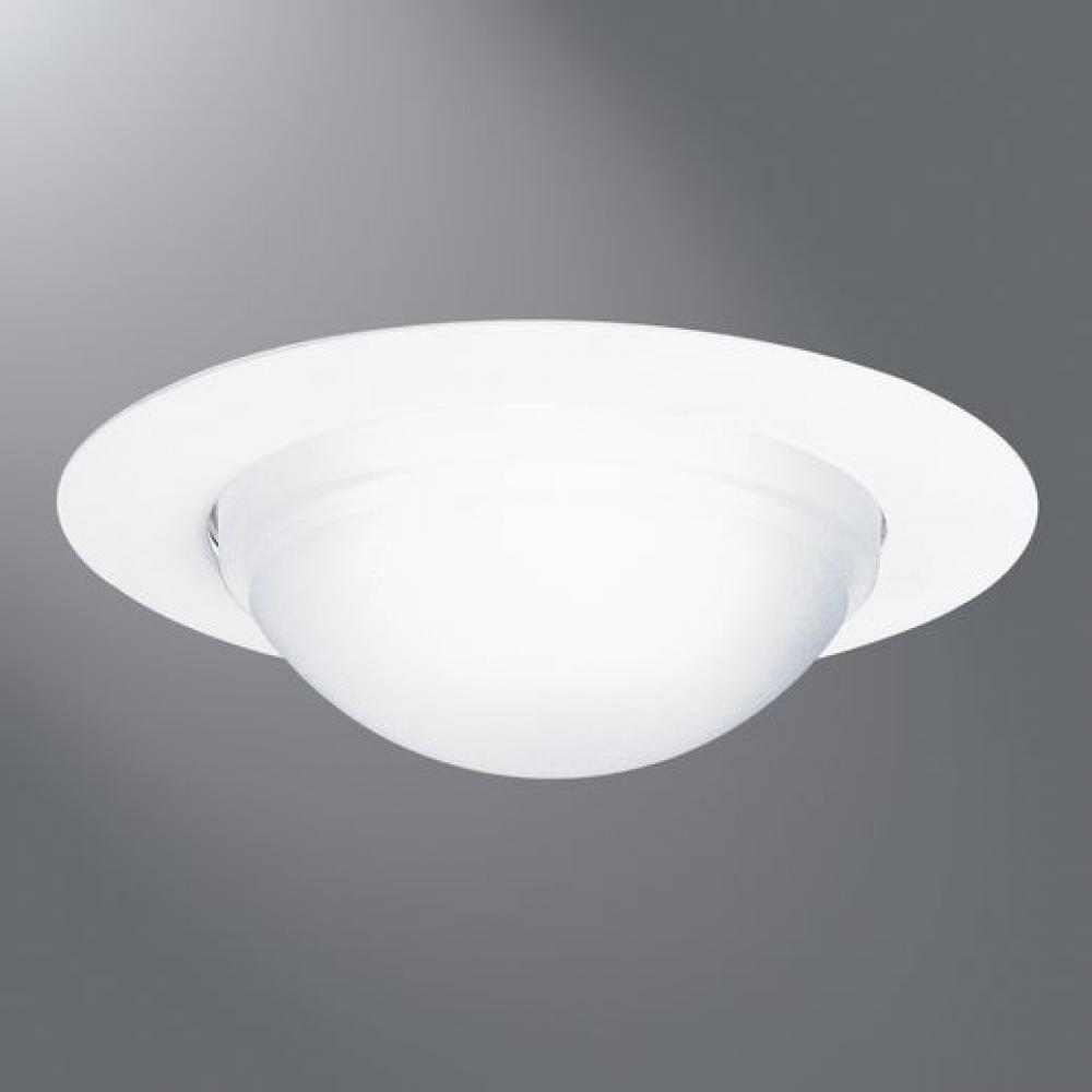 Cooper Lighting Solutions 172SNS